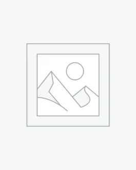Uncategorized
